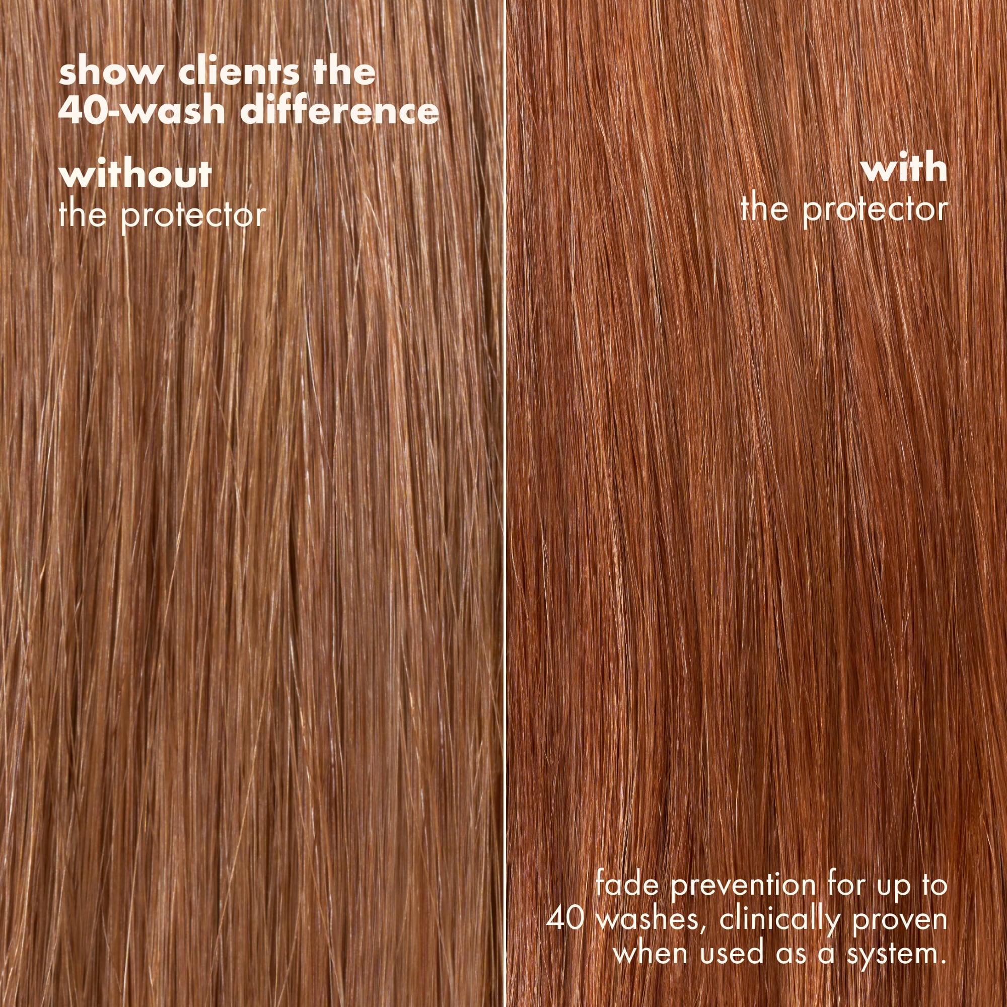 Color Longevity BA
