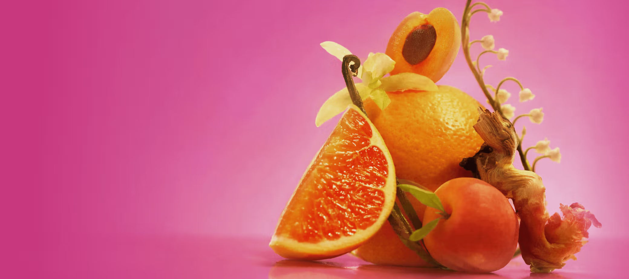 the scent behind it all